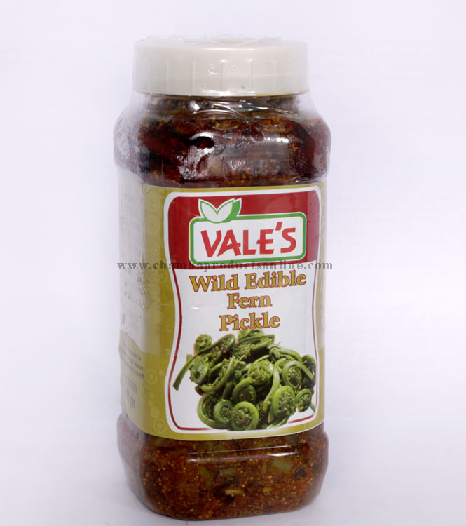 Wild Edible Fern Pickle